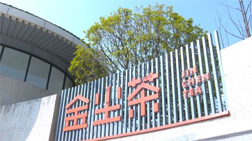 安順經開區 打造新中式茶飲新風尚，賦能茶葉產業升級