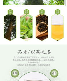 青錢柳茶葉攝影藝術(shù) 南陽淘邦以光影雕琢茶品靈魂